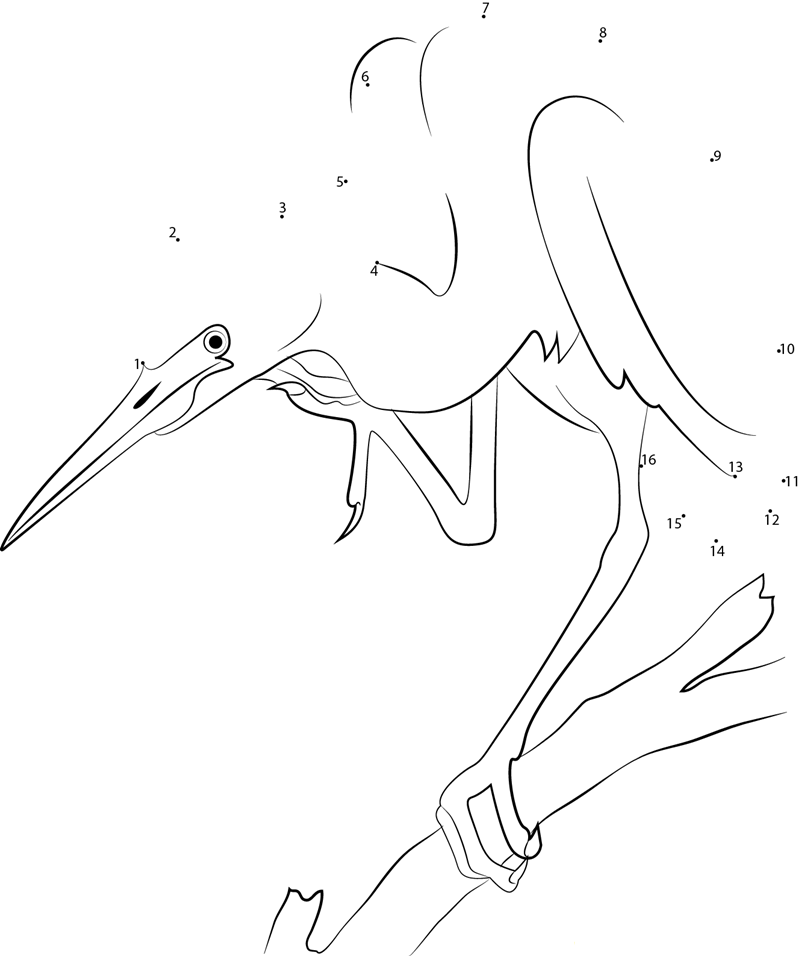 Cool Heron Bird dot to dot worksheets