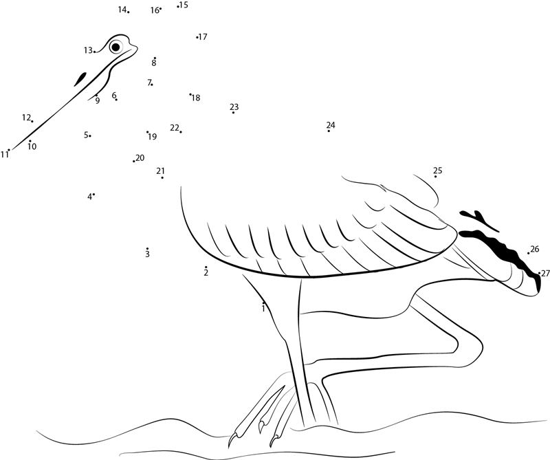 Goliath Heron printable dot to dot worksheet