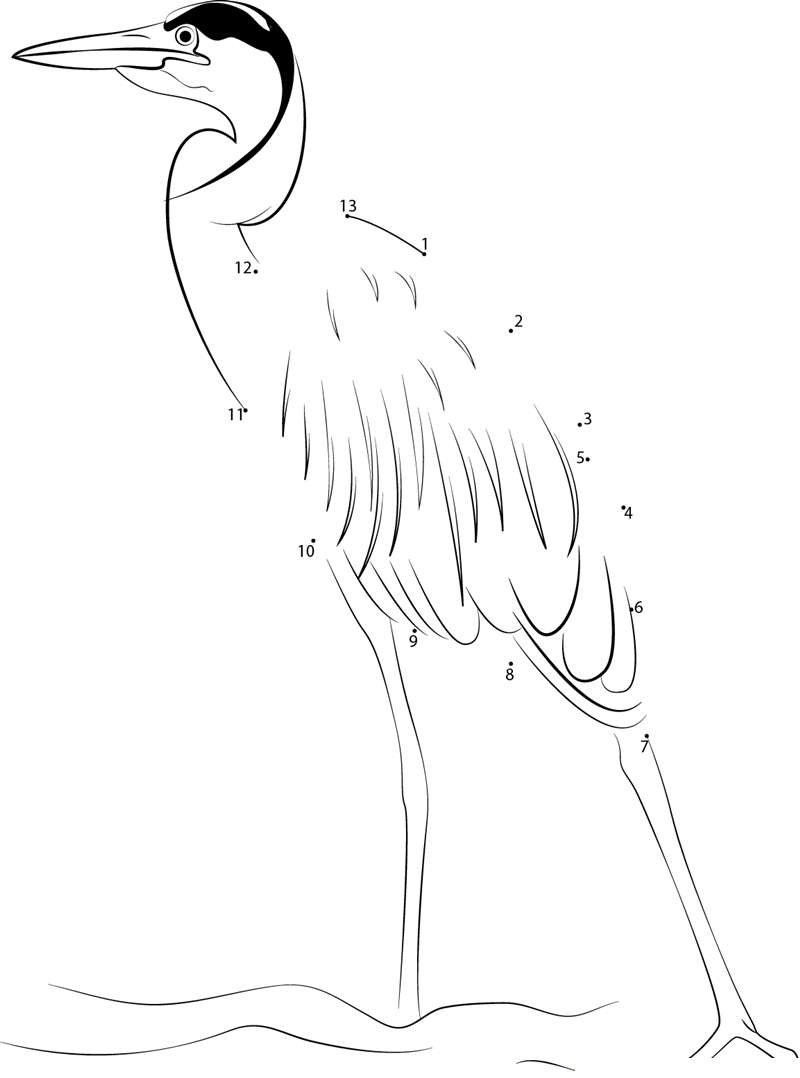 Great Blue Heron Durham Male dot to dot worksheets