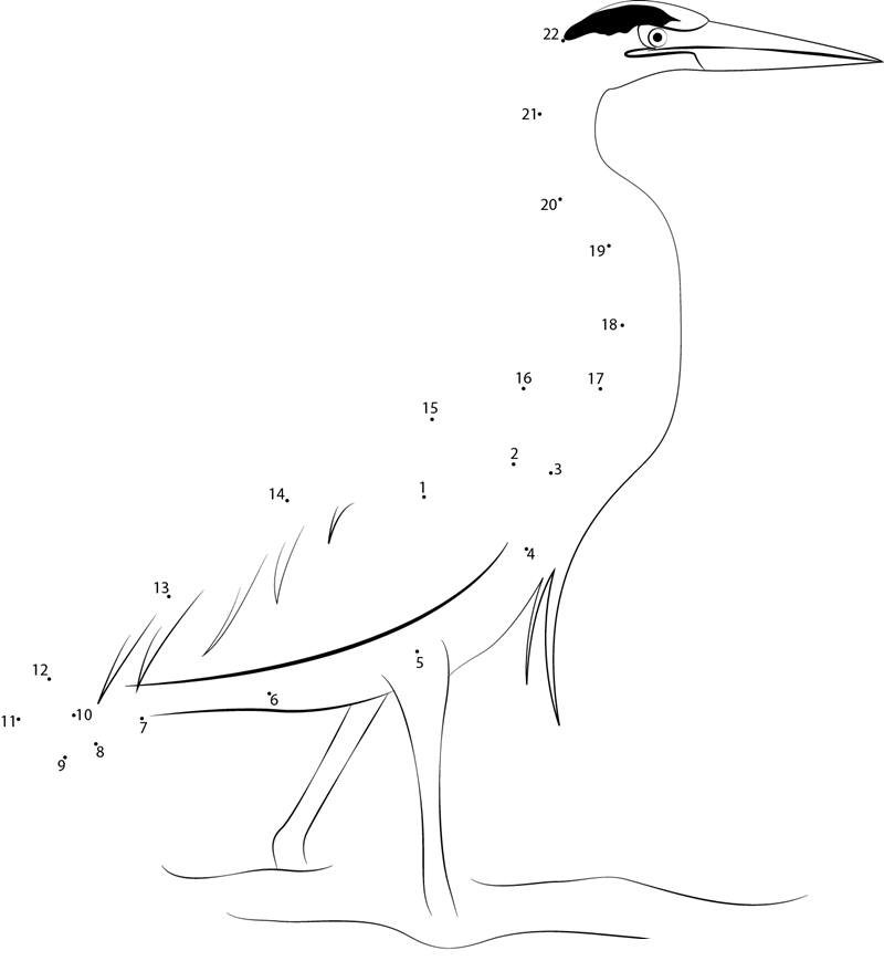 Great Blue Heron Fishing printable dot to dot worksheet