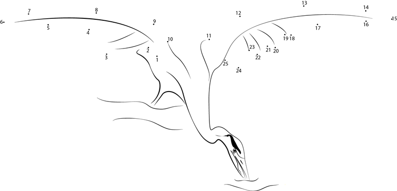 Great Blue Heron Fly Wing printable dot to dot worksheet