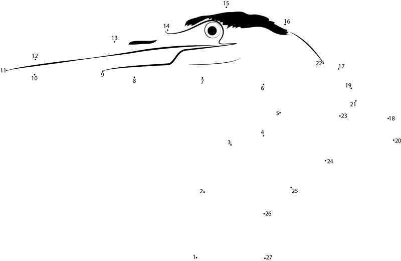 Great Blue Heron Head dot to dot worksheets