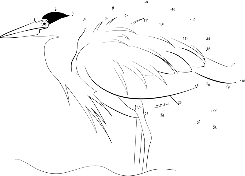 Great Blue Heron Ruffling Feathers dot to dot worksheets