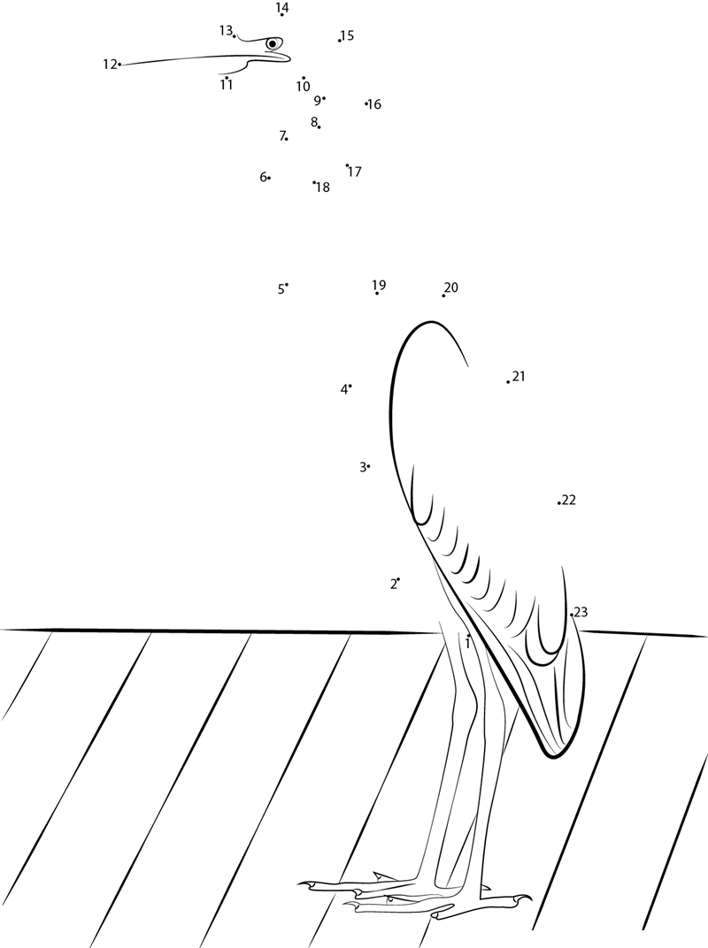 Great Blue Heron Standing On Dock dot to dot worksheets