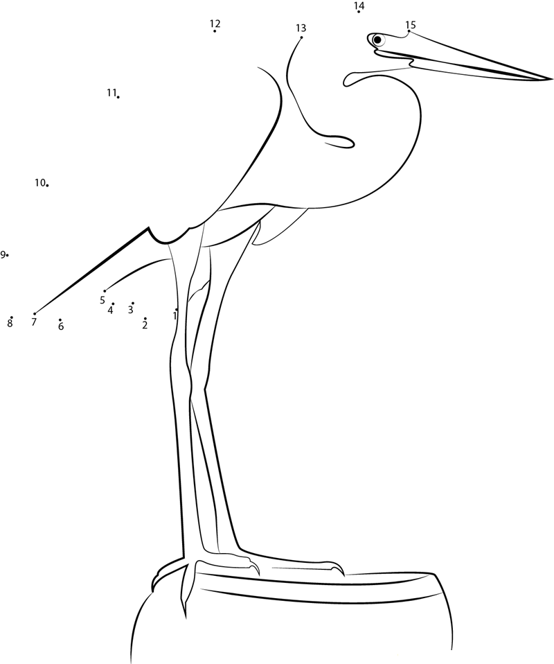 Great White Heron printable dot to dot worksheet