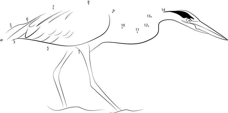 Heron Bird printable dot to dot worksheet