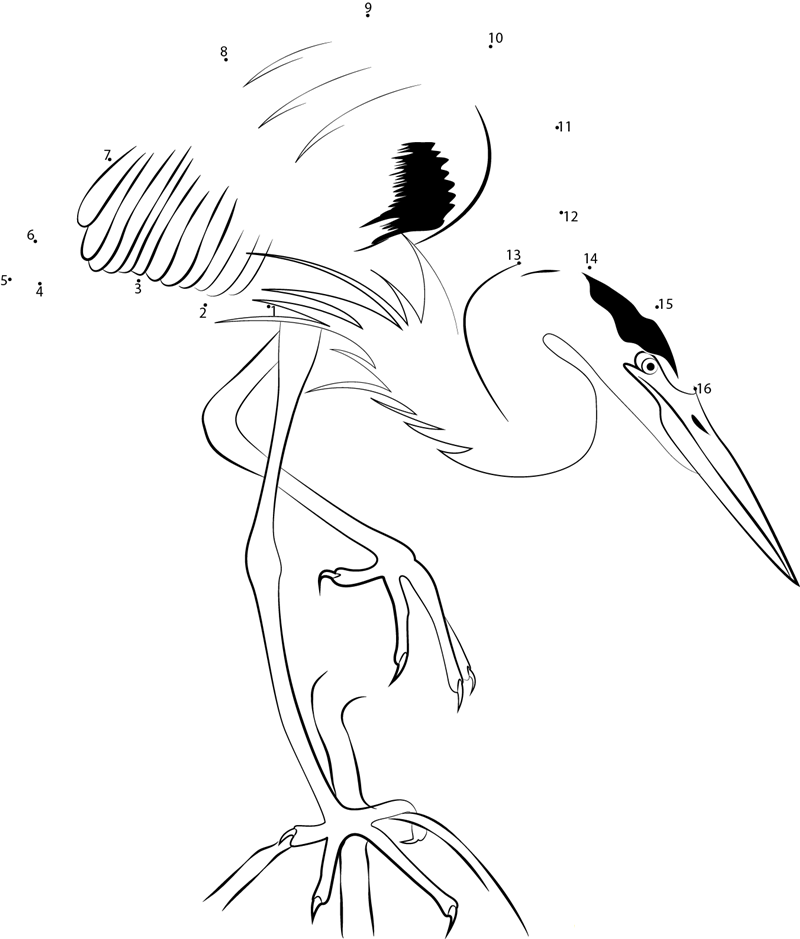 Heron Bird Perched In A Tree dot to dot worksheets