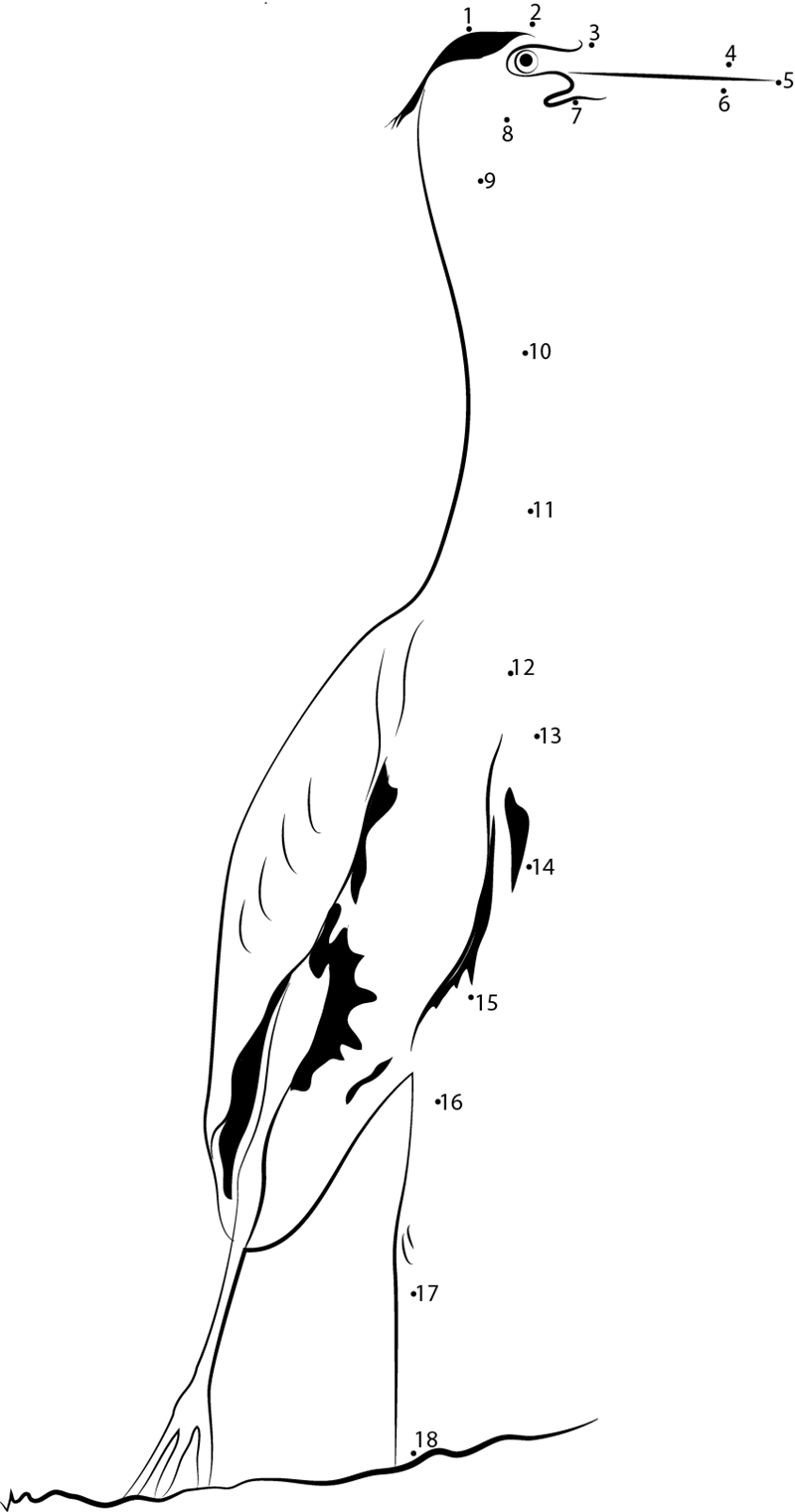 Heron In India printable dot to dot worksheet