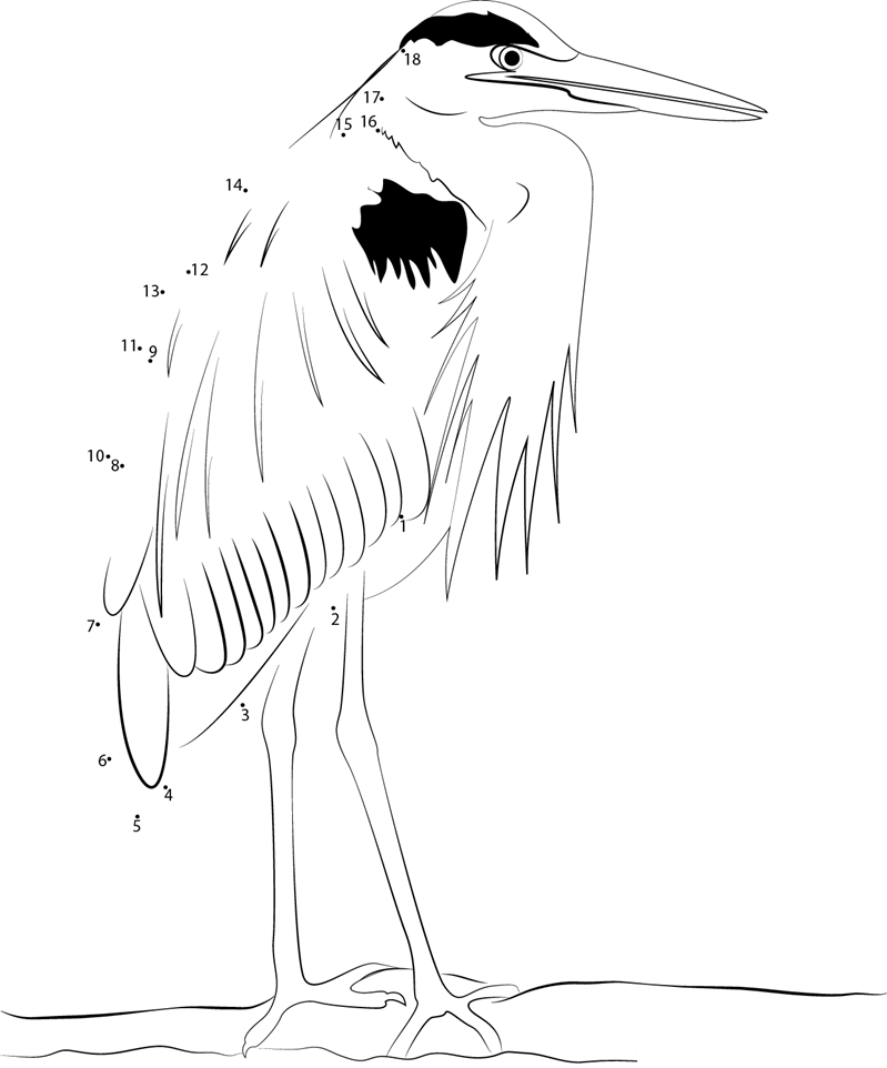 Heron Standing On Leg dot to dot worksheets