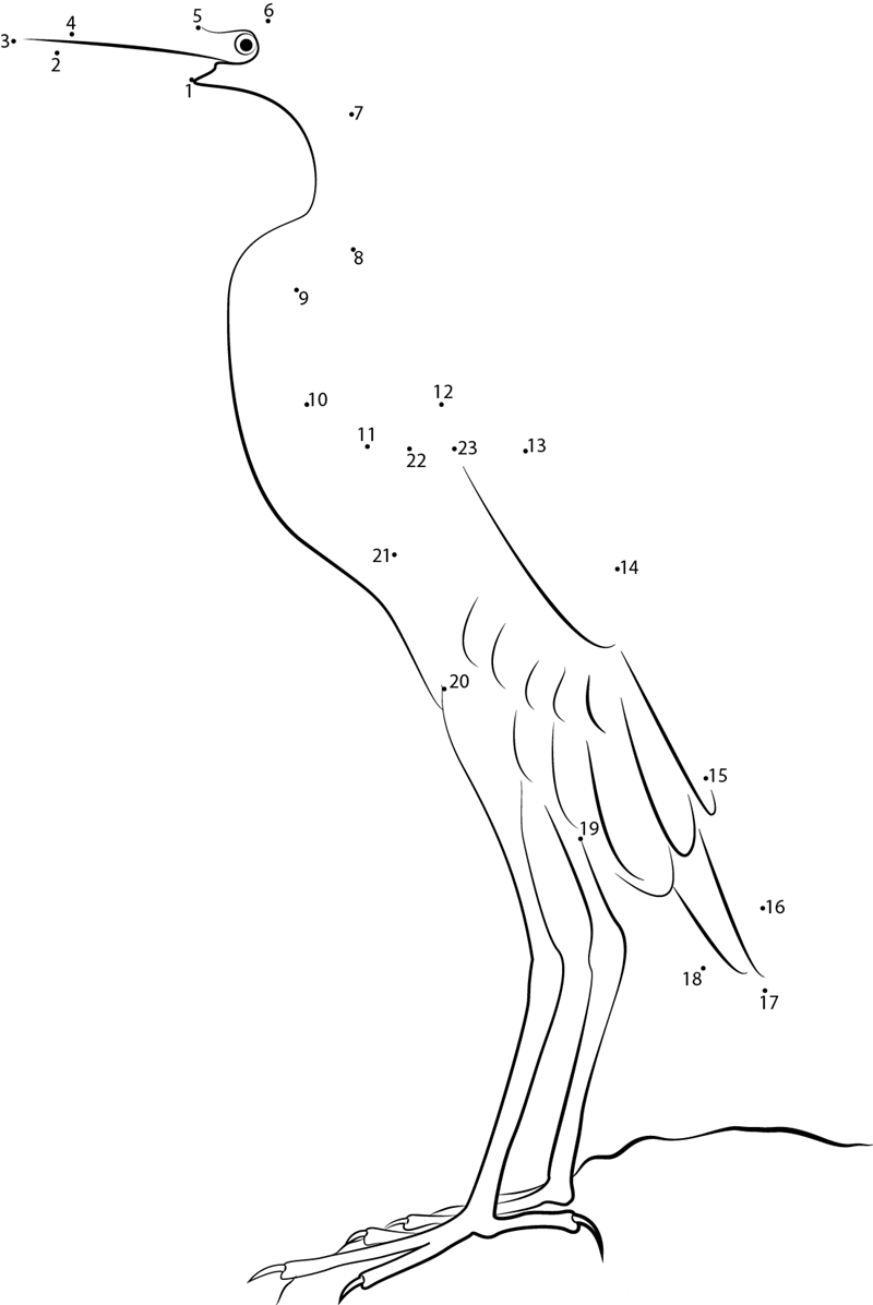 Kabini Purple Heron printable dot to dot worksheet