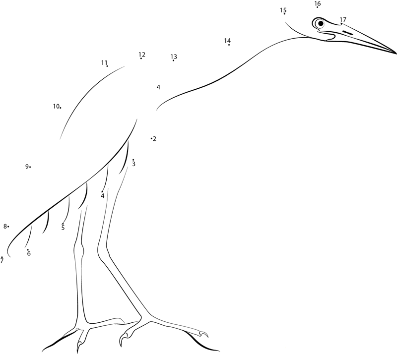 Little Blue Heron dot to dot worksheets