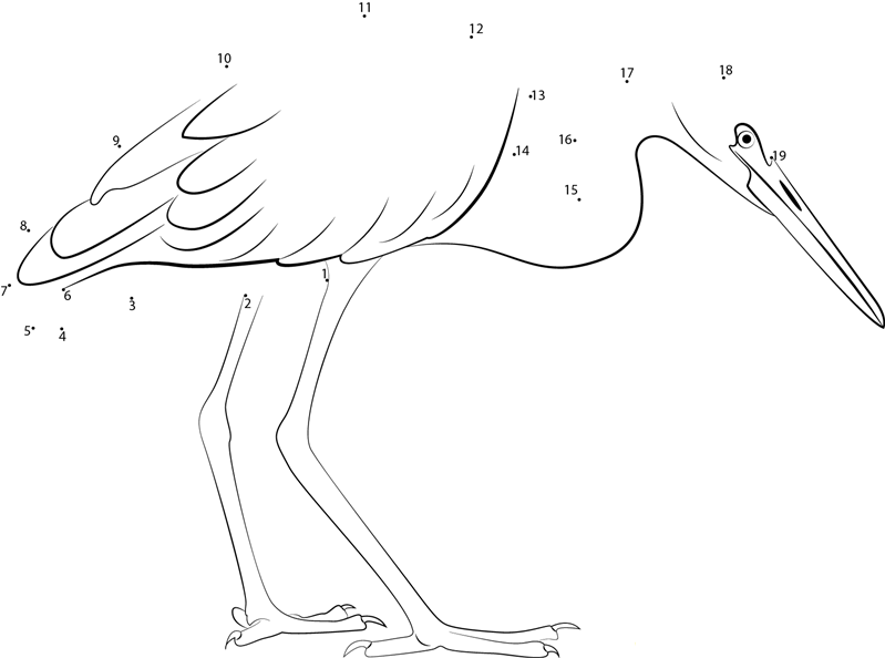 Western Reef Heron printable dot to dot worksheet