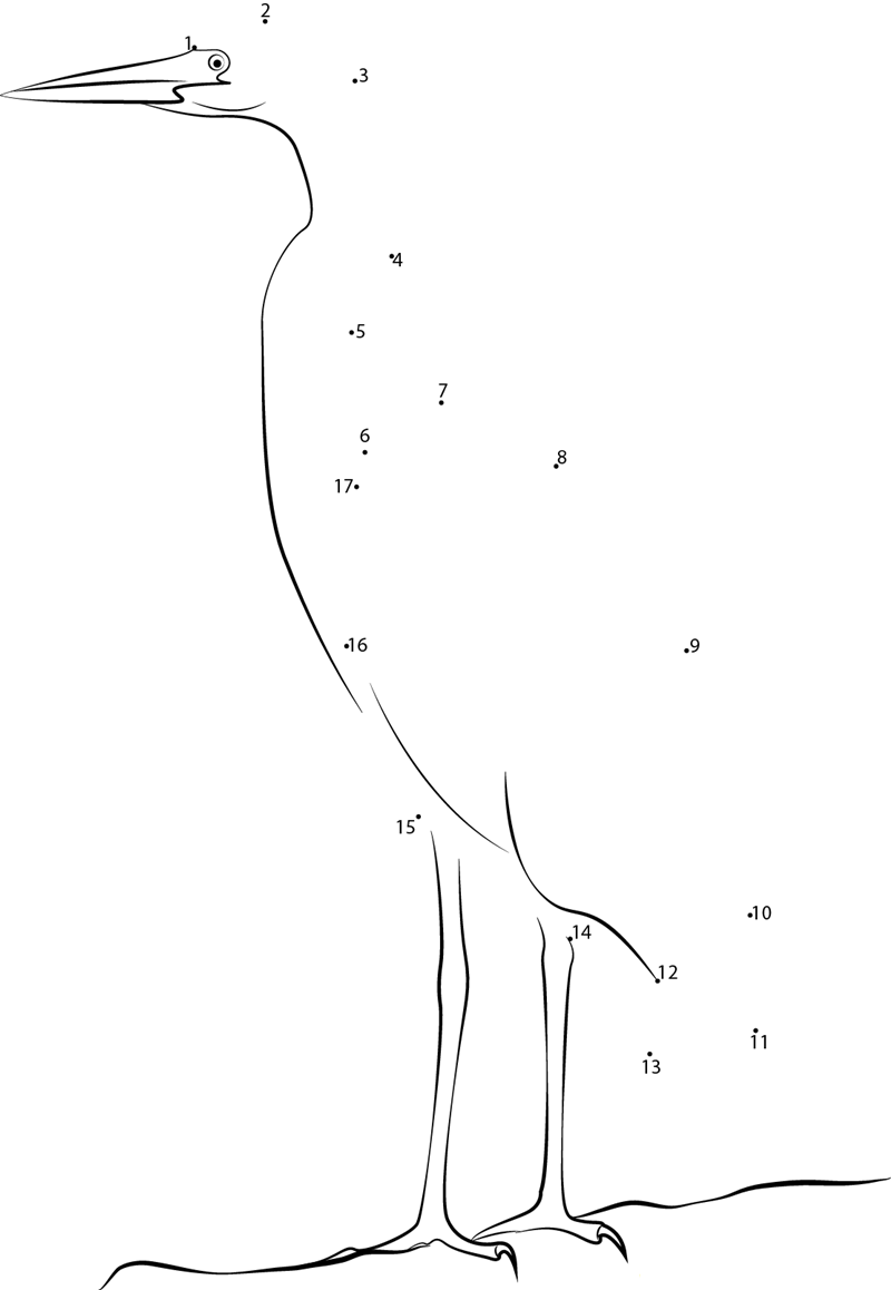 White Heron printable dot to dot worksheet