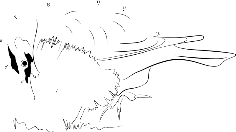 Eremophila Alpestris dot to dot worksheets