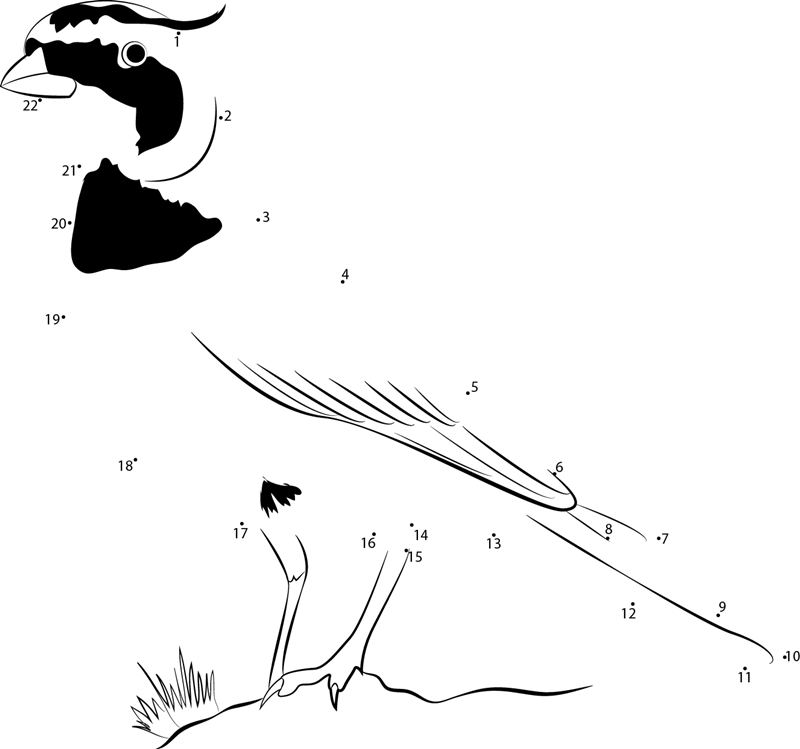 Eremophila Alpestris Strigata dot to dot worksheets