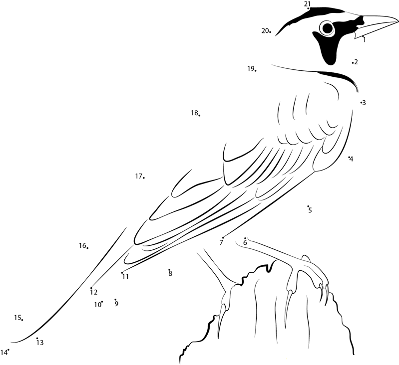 Female Horned Lark dot to dot worksheets