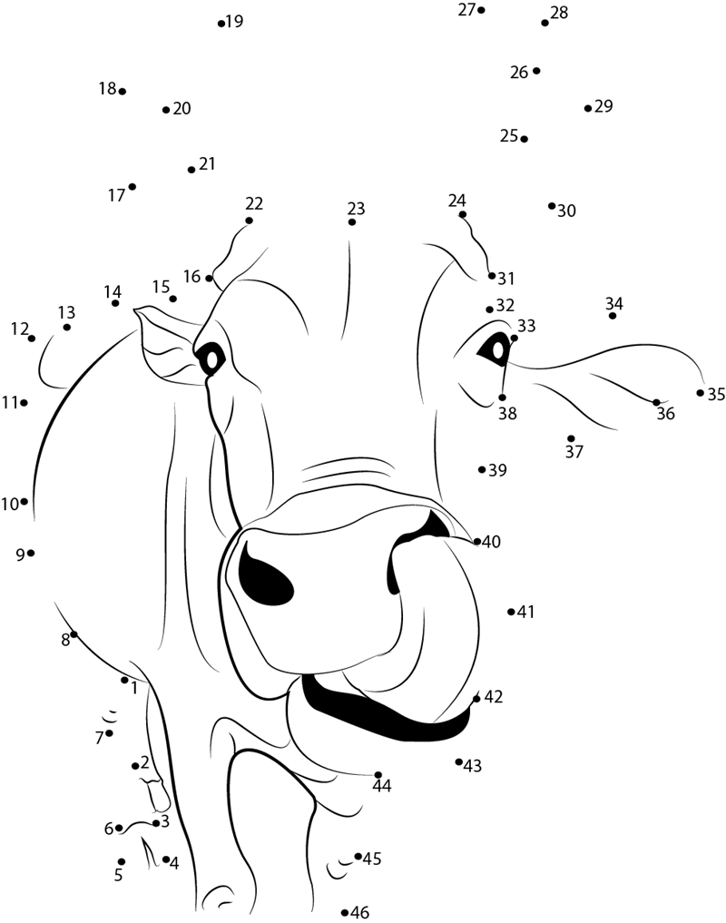 Indian Cow Face printable dot to dot worksheet