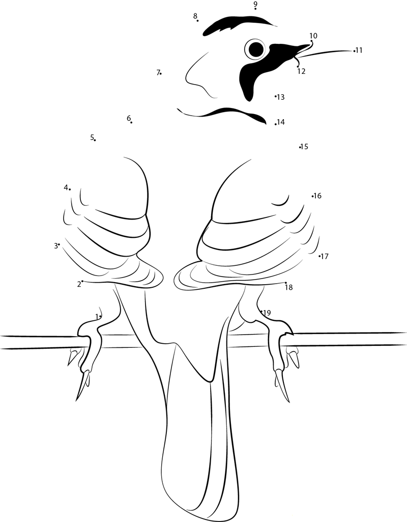 Horned Lark Back Side dot to dot worksheets