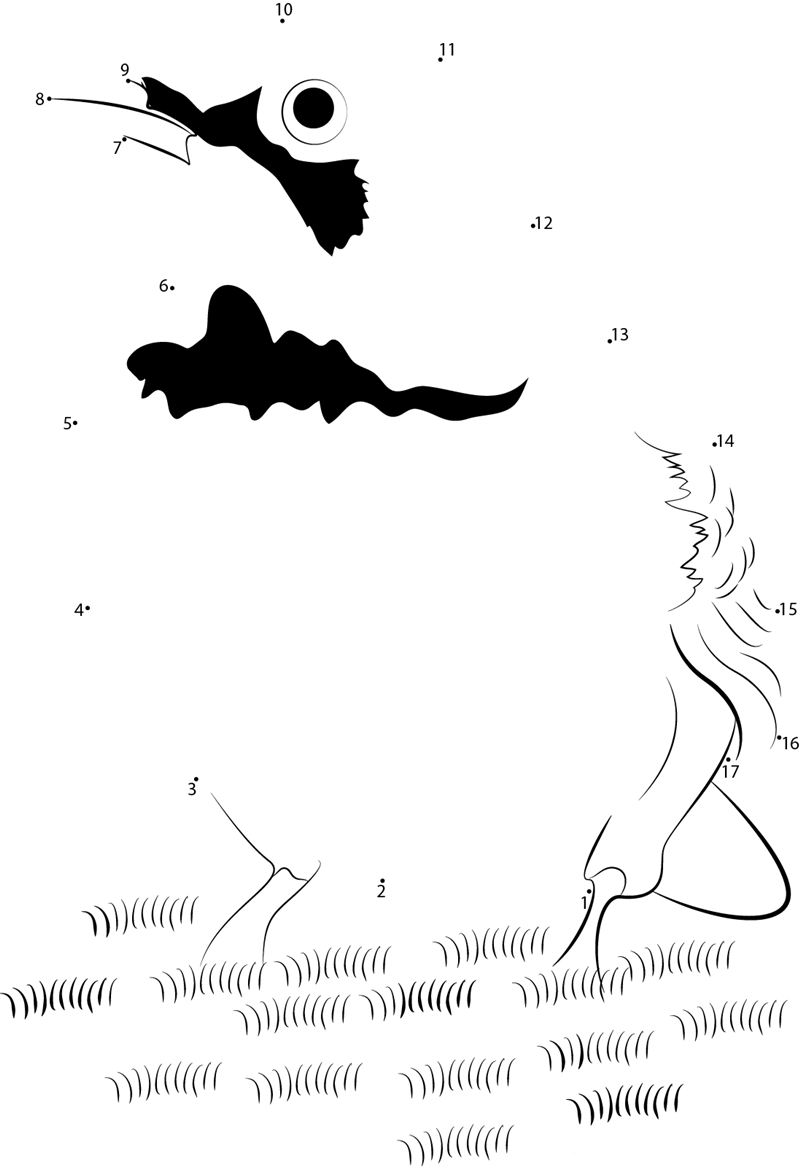 Horned Lark Eremophila Alpestris dot to dot worksheets