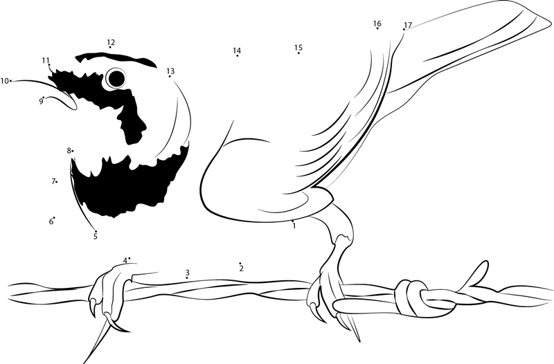 Horned Lark Flight Pose dot to dot worksheets