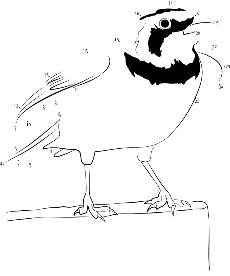 Horned Lark In Garden dot to dot worksheets