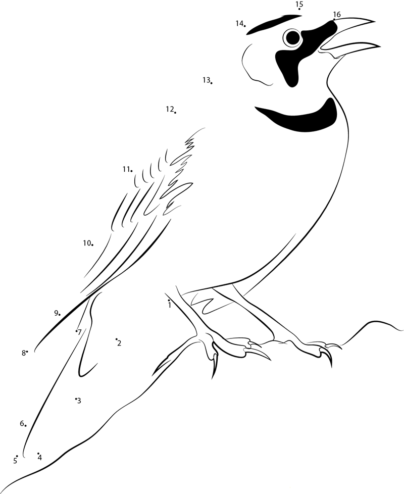 Horned Lark Sitting On Rock dot to dot worksheets