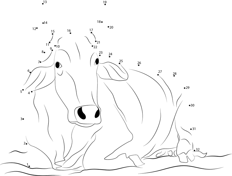 Indian White Cow dot to dot worksheets