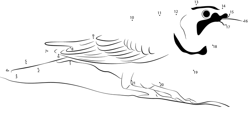 Juvenile Horned Larks dot to dot worksheets