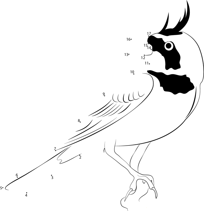 Temminck X27 S Lark Aurelien Audevard dot to dot worksheets