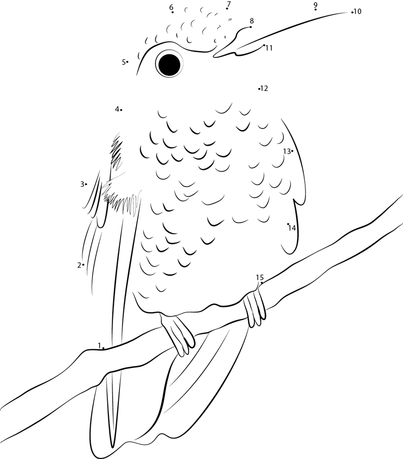 A Little Beauty Hummingbird printable dot to dot worksheet