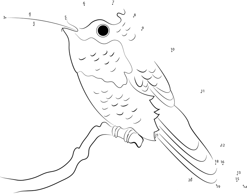 Allen X27 S Hummingbird printable dot to dot worksheet