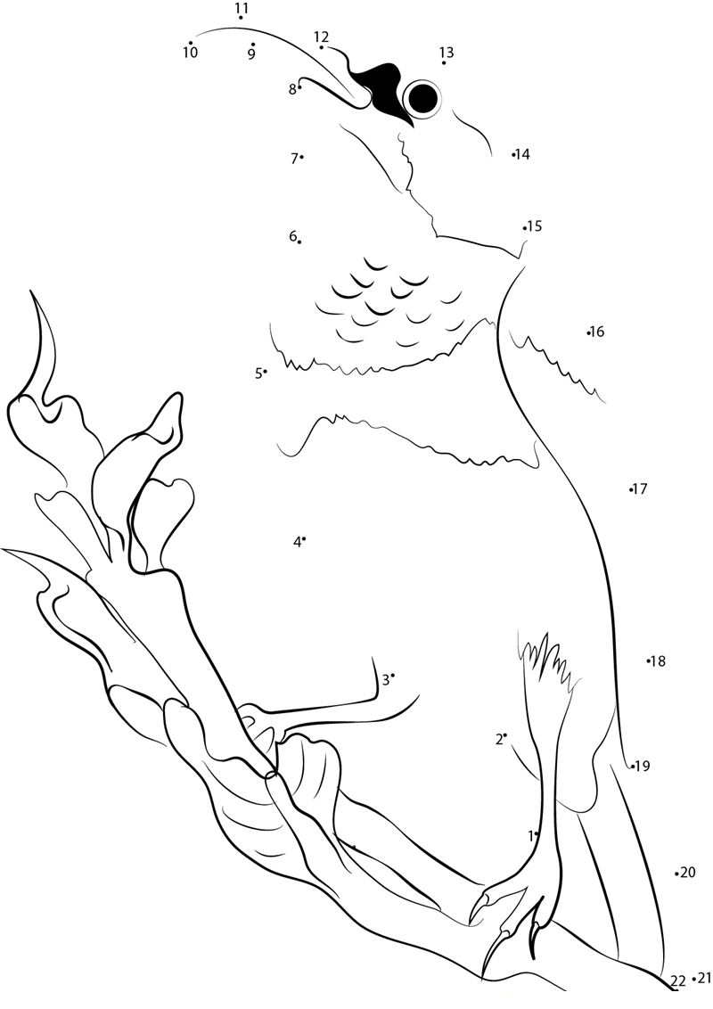 Beautiful Hummingbird printable dot to dot worksheet