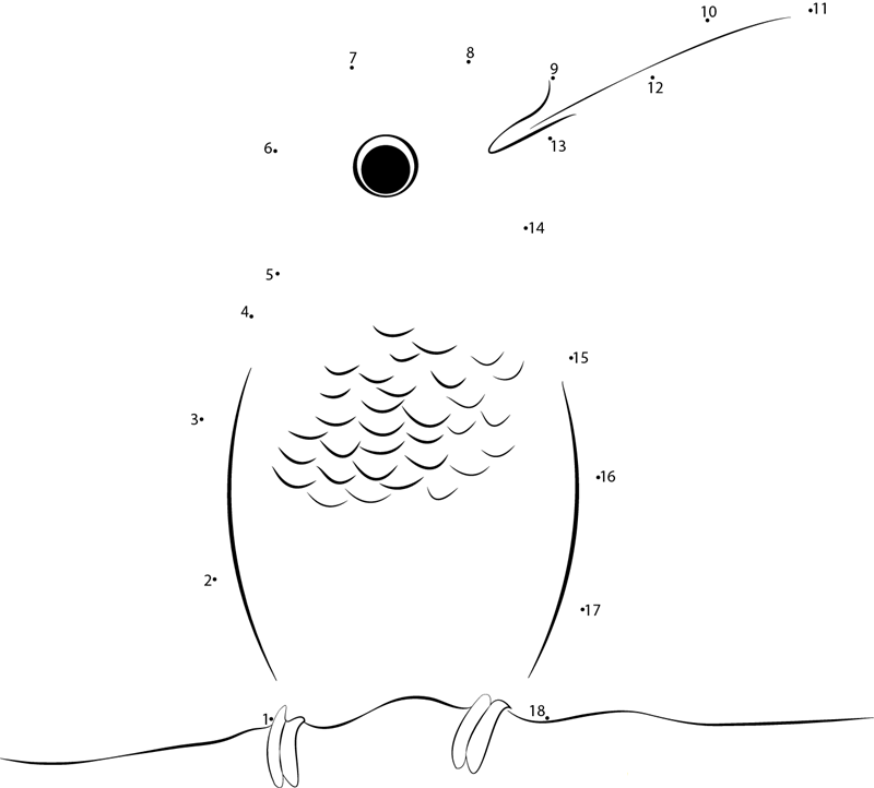 Berylline Hummingbird printable dot to dot worksheet