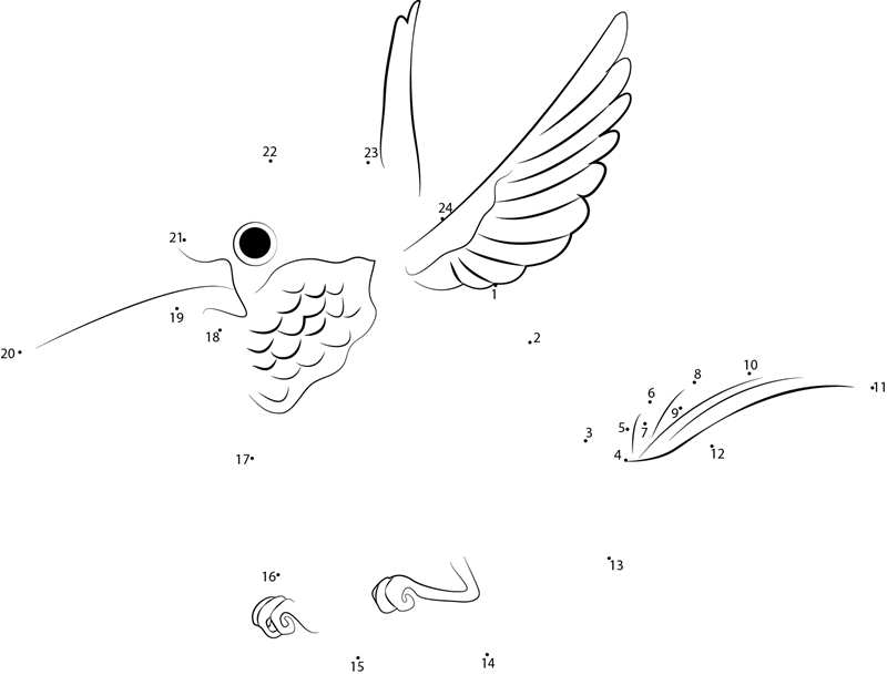 Chubby Hummingbird dot to dot worksheets