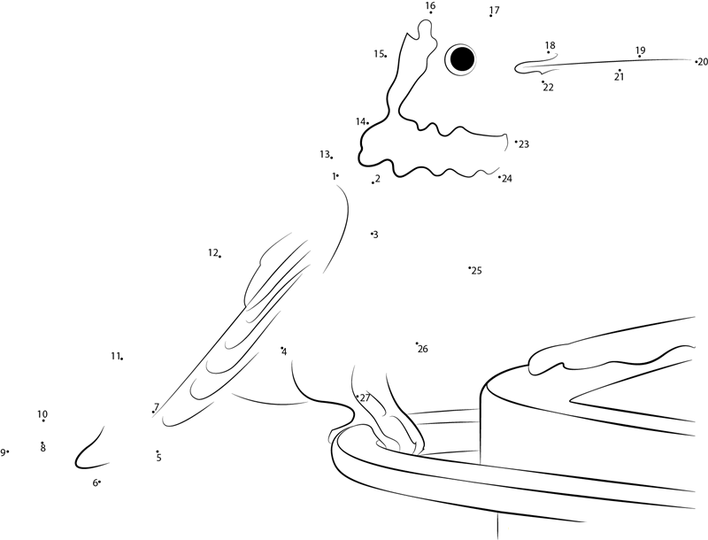 Male Anna X27 S Hummingbird dot to dot worksheets