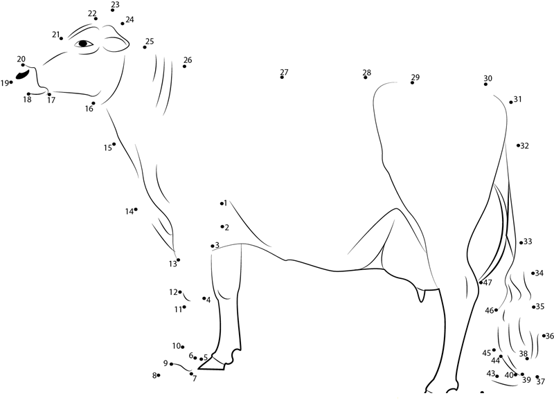 Vechur Cow dot to dot worksheets