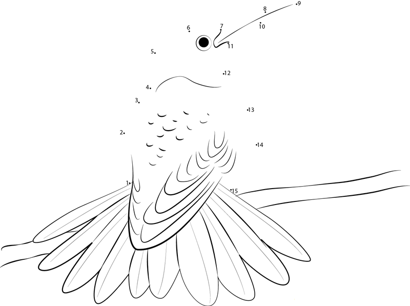 Rufous Tailed Hummingbird dot to dot worksheets