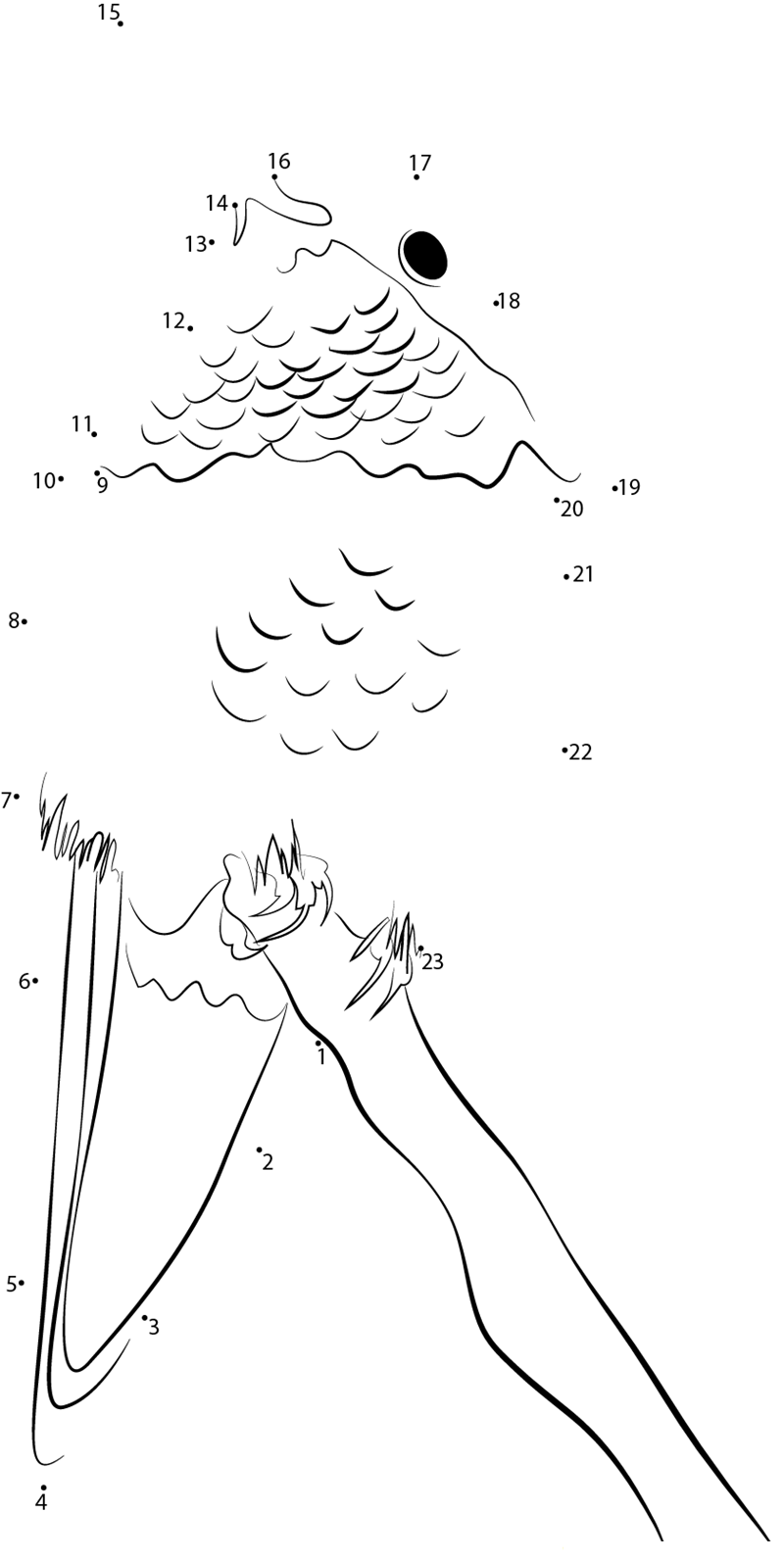 Selasphorus Rufus printable dot to dot worksheet