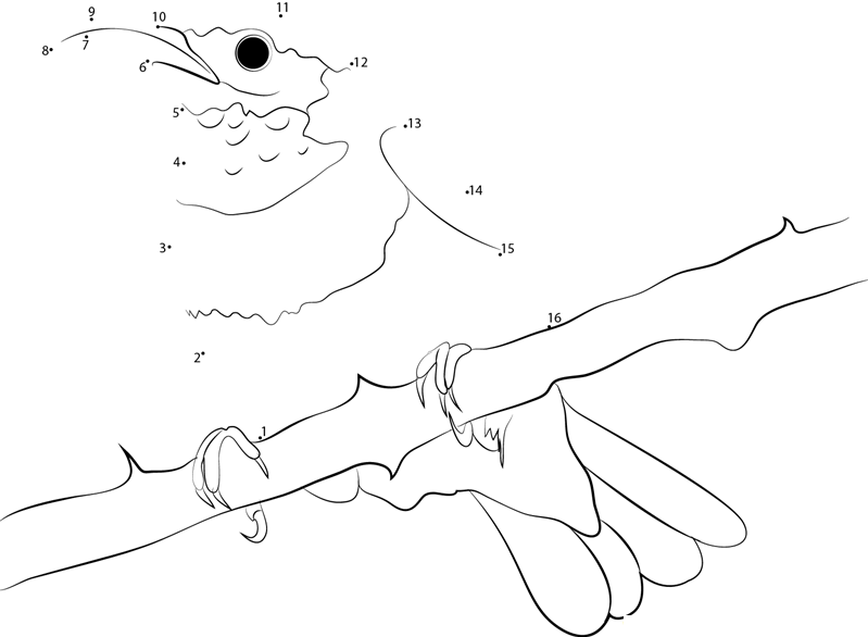 Small Hummingbird dot to dot worksheets