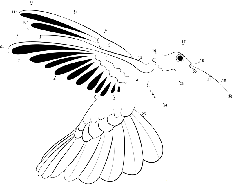 Trochilidae dot to dot worksheets