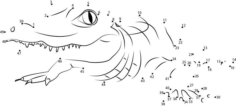 Alligator dot to dot worksheet