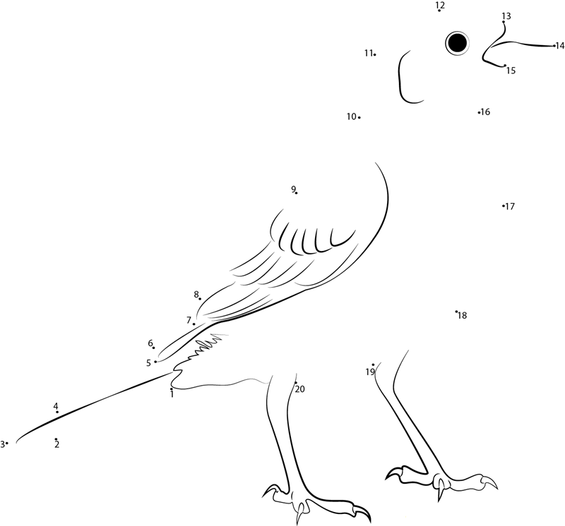 Calamospiza Melanocorys dot to dot worksheets