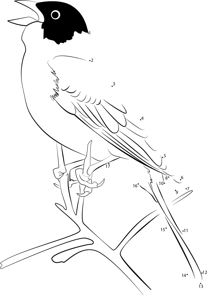 Emberiza Melanocephala dot to dot worksheets