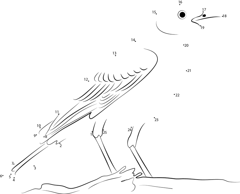 Fawn Coloured Lark Bunting dot to dot worksheets