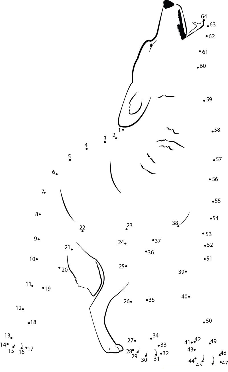 Coyote printable dot to dot worksheet