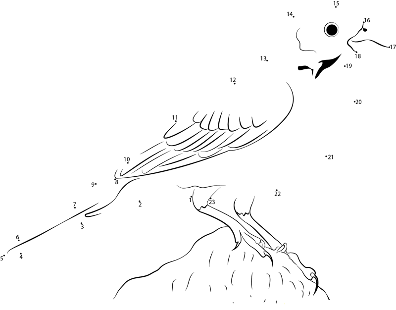 Lark Bunting Ready To Fly dot to dot worksheets