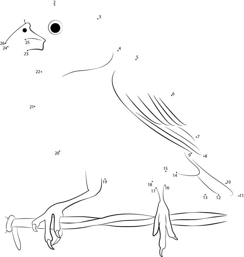 Male Lark Bunting In Winter printable dot to dot worksheet