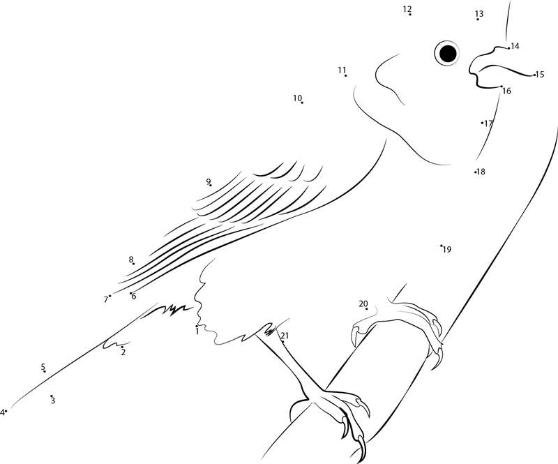 Most Beautiful Lark Bunting Bird printable dot to dot worksheet