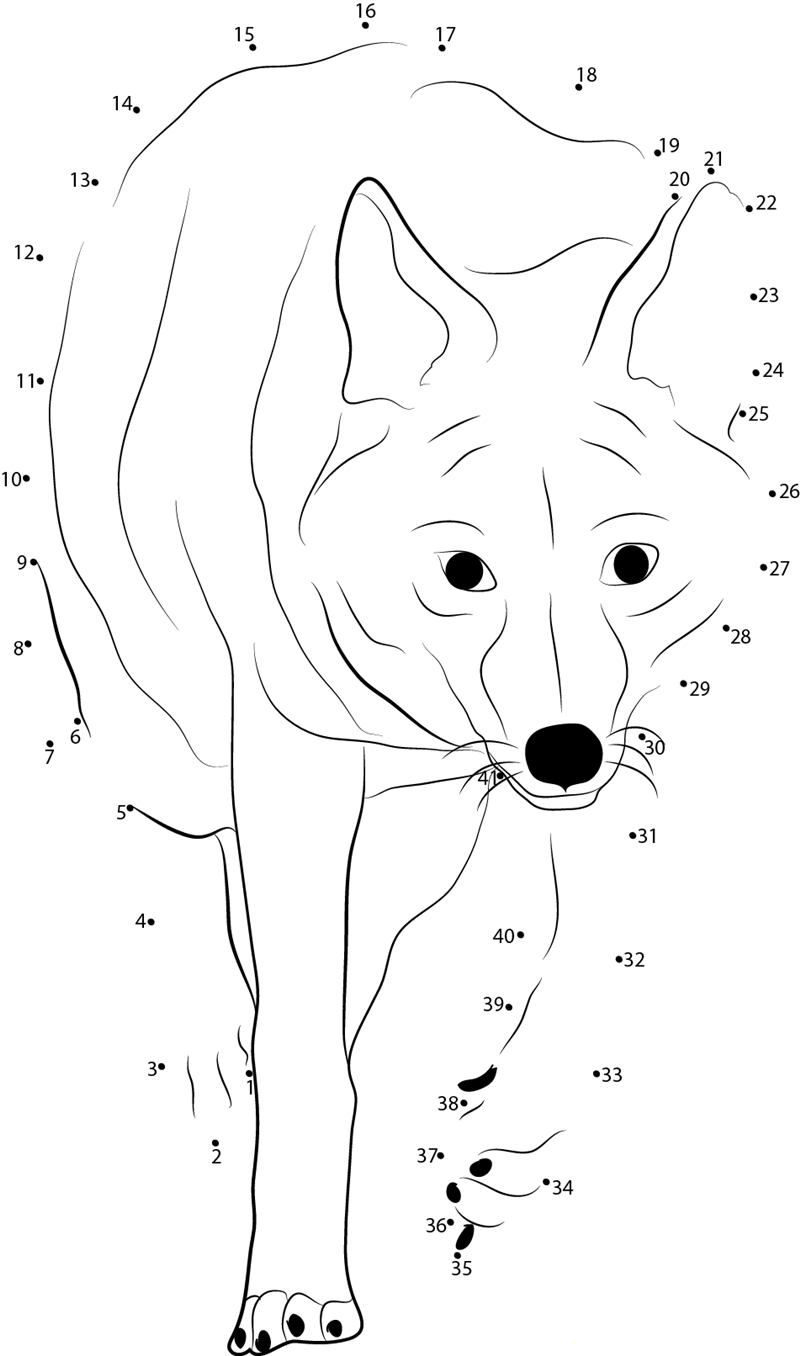 Coyote Down printable dot to dot worksheet