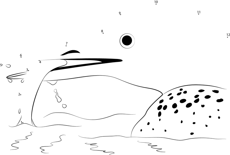 Common Loon Attacking Fish printable dot to dot worksheet